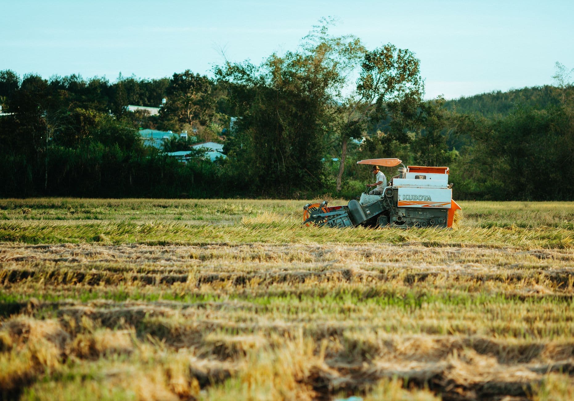 Buyer safety checklist for agricultural marketplaces